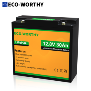 384Wh 12V 30Ah Solar Panel Lithium Battery 3000+ Deep Cycle LiFePO4 BMS RV Boat