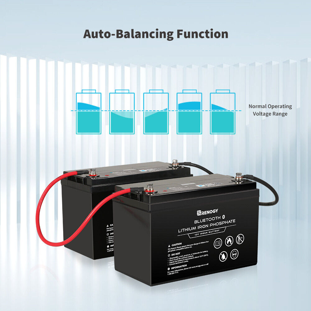 Renogy-12V-100Ah-LiFePO4-Lithium-Iron-Battery-W-Built-in-Bluetooth-IP65-BMS-203596124852-8