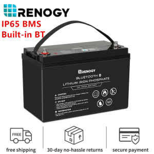 Renogy 12V 100Ah LiFePO4 Lithium Iron Battery W/ Built-in Bluetooth IP65 BMS