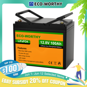 ECO-WORTHY 12V 100AH LiFePO4 Lithium Battery Rechargeable BMS for RV Solar Panel