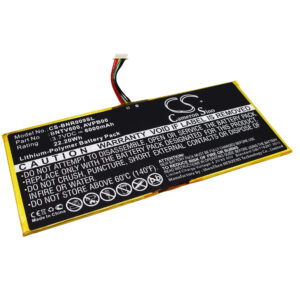 Barnes & Noble AVPB00, AVPB002-A110-01, BNTV600, GB-S02-308594-0100 CS-BNR009SL