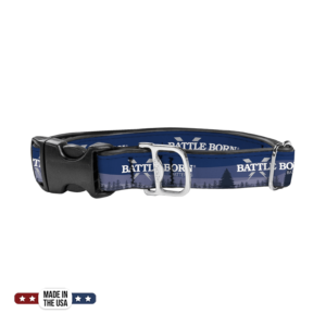 Battle Born Batteries Hybrid Plastic Buckle Dog Collar (Small)
