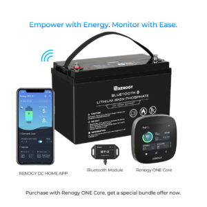 12V 100Ah Lithium Iron Phosphate Battery w/ Bluetooth & Renogy ONE Core
