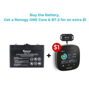 12V 100Ah Smart Lithium Iron Phosphate Battery w/ Self-Heating Function