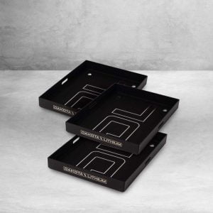 3-Pack of Marine Battery Trays for Dakota Lithium Batteries