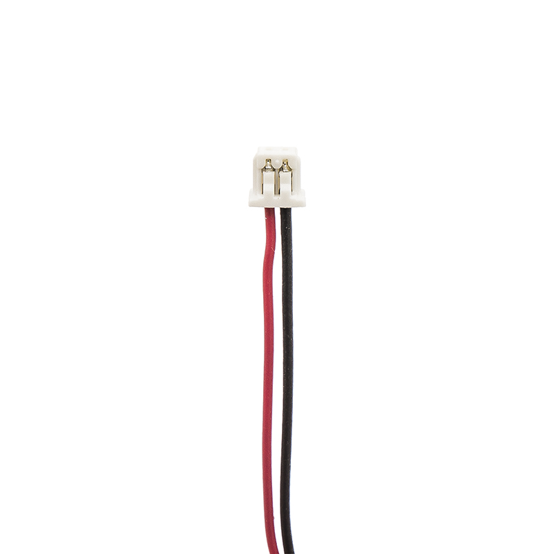 Dentsply Smartlite Curer Replacement Battery 4.8V 300mAh