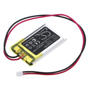 INT RASTER Memory Backup P-2209 Replacement Battery 250mAh