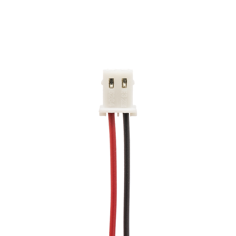 CS-RPT100MX-4.jpg