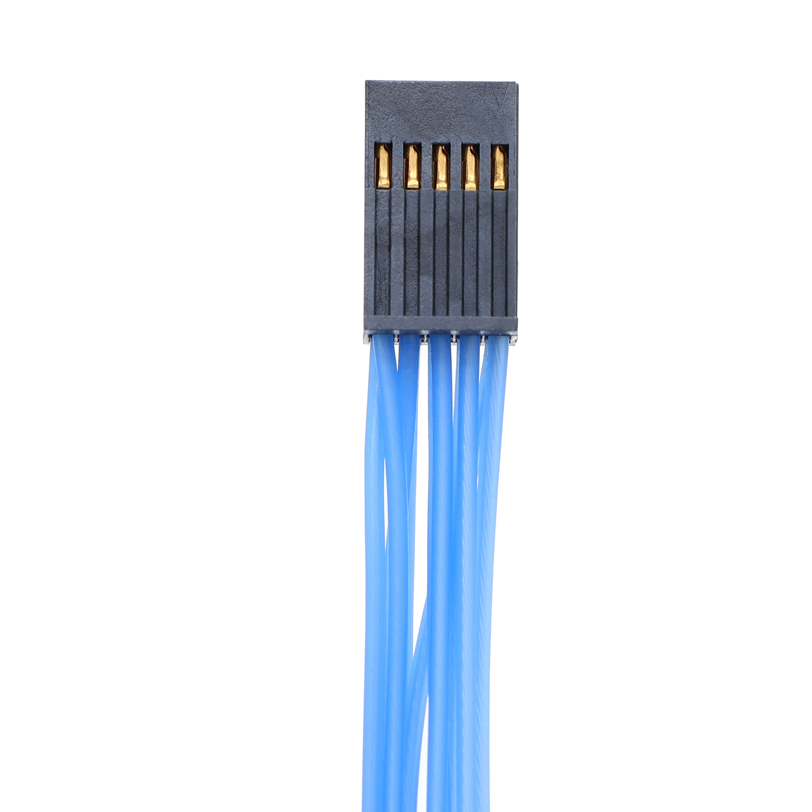 30f857b8e86e2e23c2719430ae87dd38896f45e5454ed6ca30d17d2095210c67-1.jpg