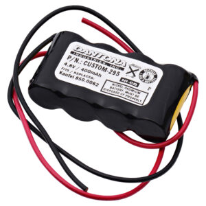 CUSTOM-295 - Dantona Batteries