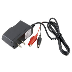 F037-010-W - Dantona Batteries