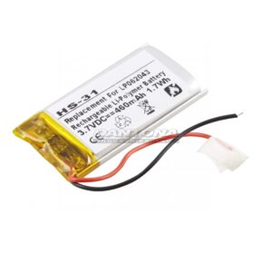 HS-31 - Dantona Batteries