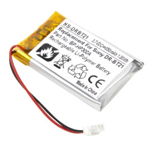 HS-DRBT21 - Dantona Batteries