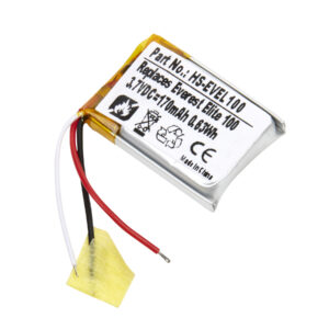 HS-EVEL100 - Dantona Batteries