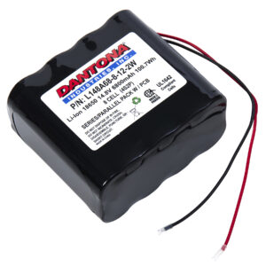 L148A68-8-12-2W - Dantona Batteries