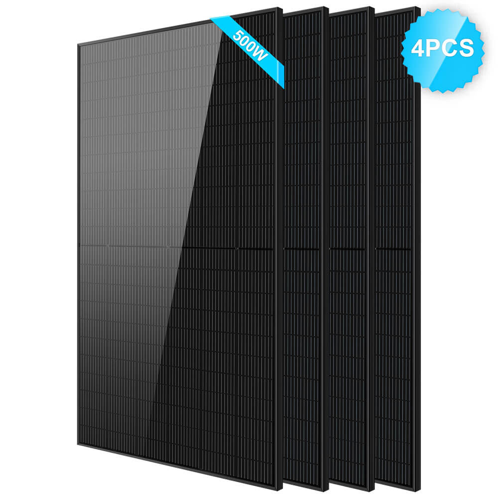 500W_-4.jpg