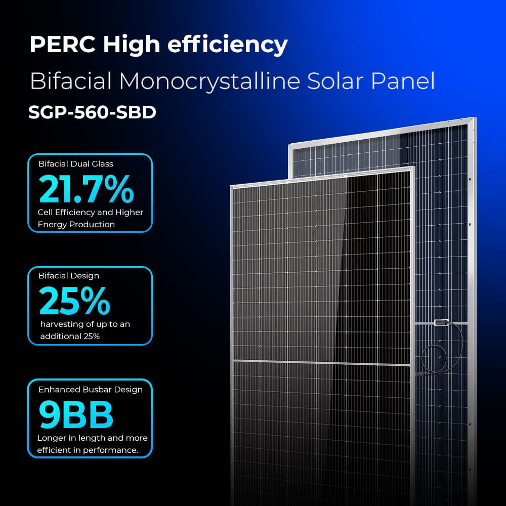 01_d9da4f62-b859-4a69-a889-a1d4fc2da22b-2.jpg