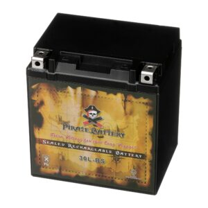 YTX30L-BS High Performance Power Sports Battery