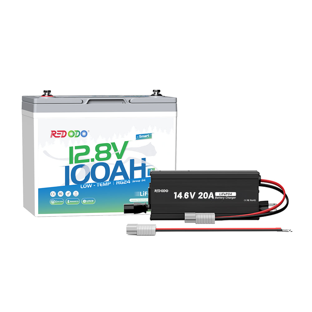 12V100AhG24_BT_12V20A.jpg