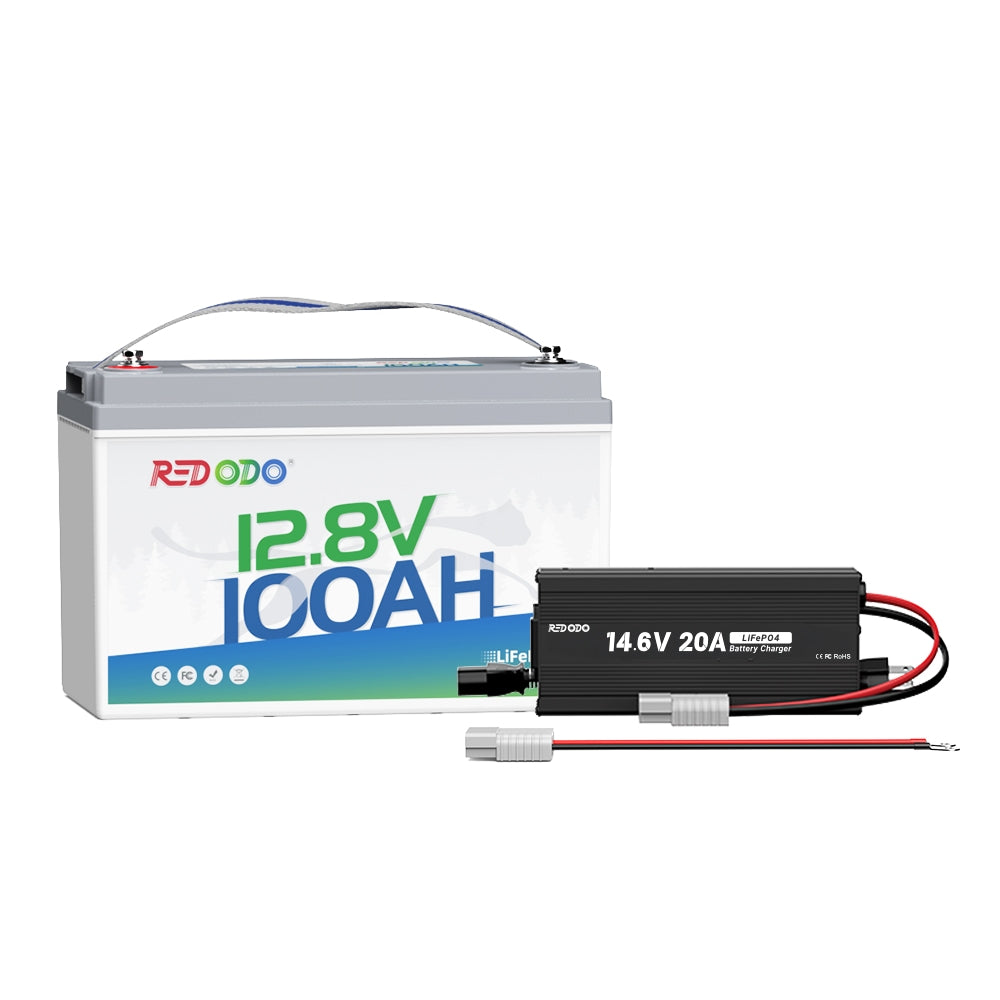 12V100Ah_12V20A.jpg
