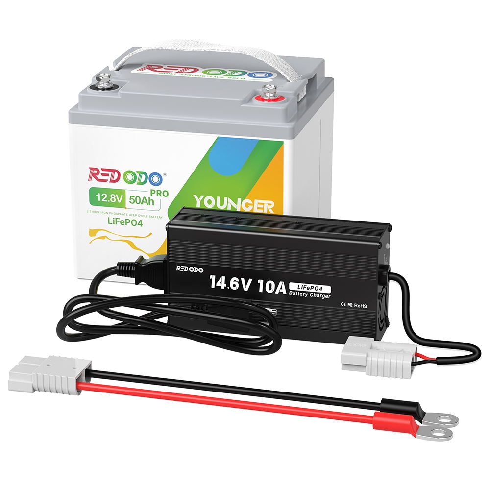 Redodo14.6V10ALiFePO4chargers.jpg