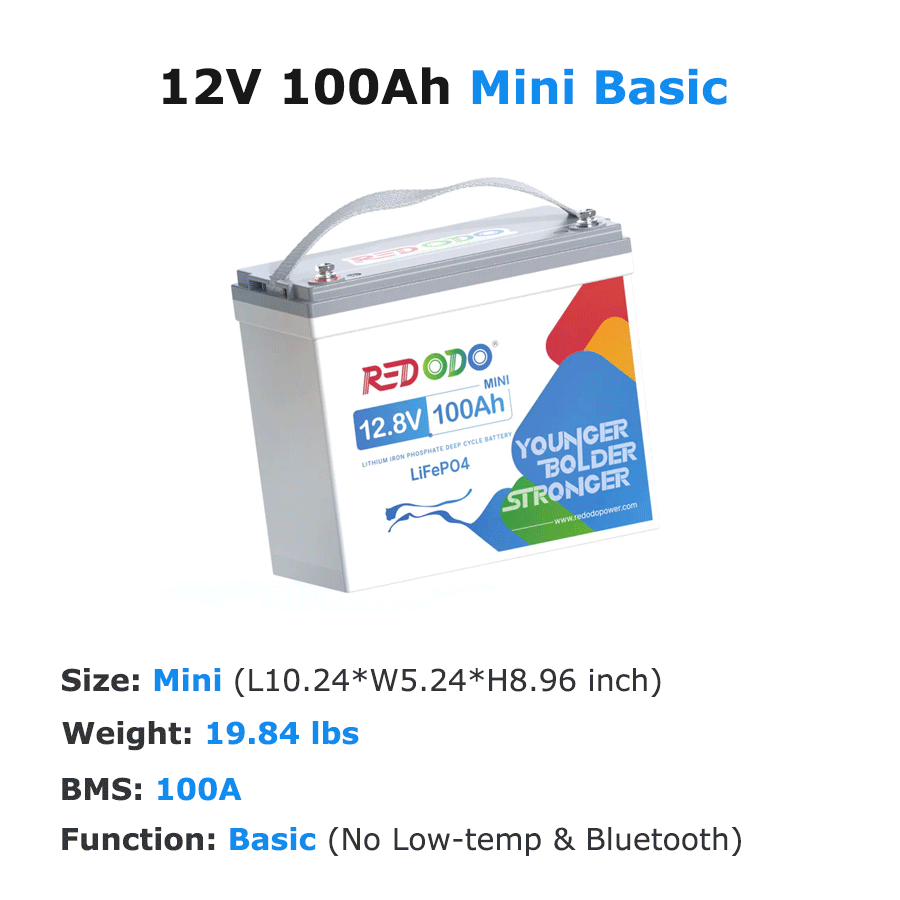 12V-100ah-mini-basic.png