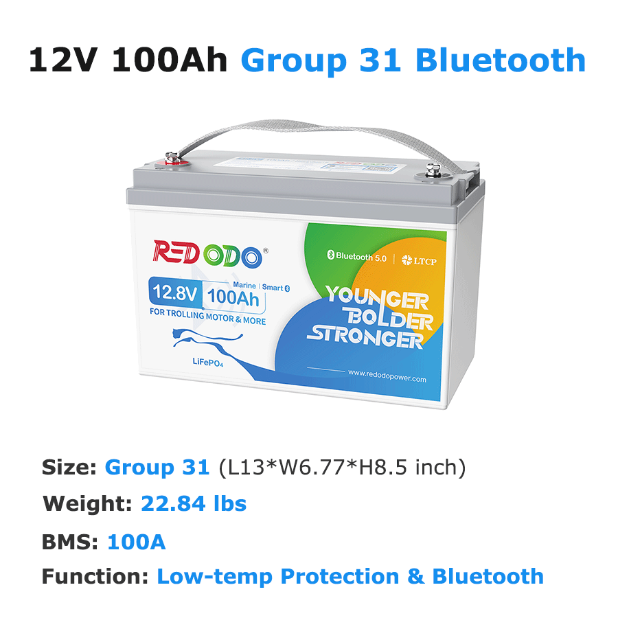 12V-100Ah-Group-31-Bluetooth.png