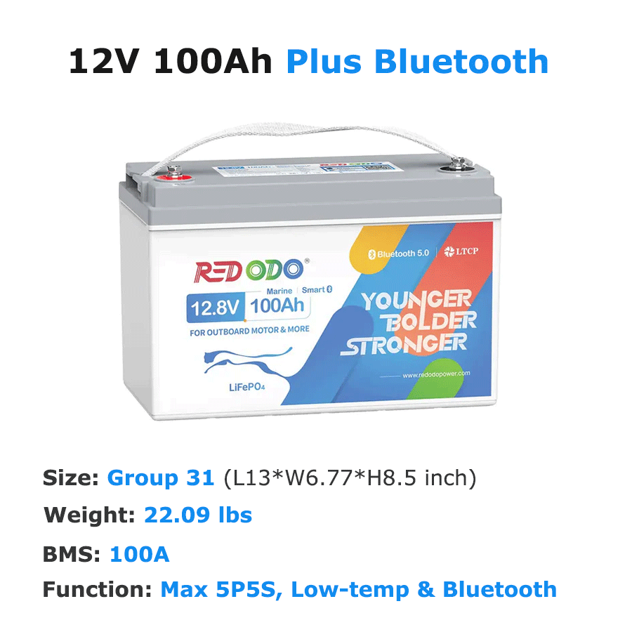 12V-100Ah-OBM.png