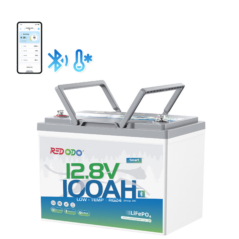12v100_865c8be5-c856-427d-8d32-aed4edc68f44.jpg