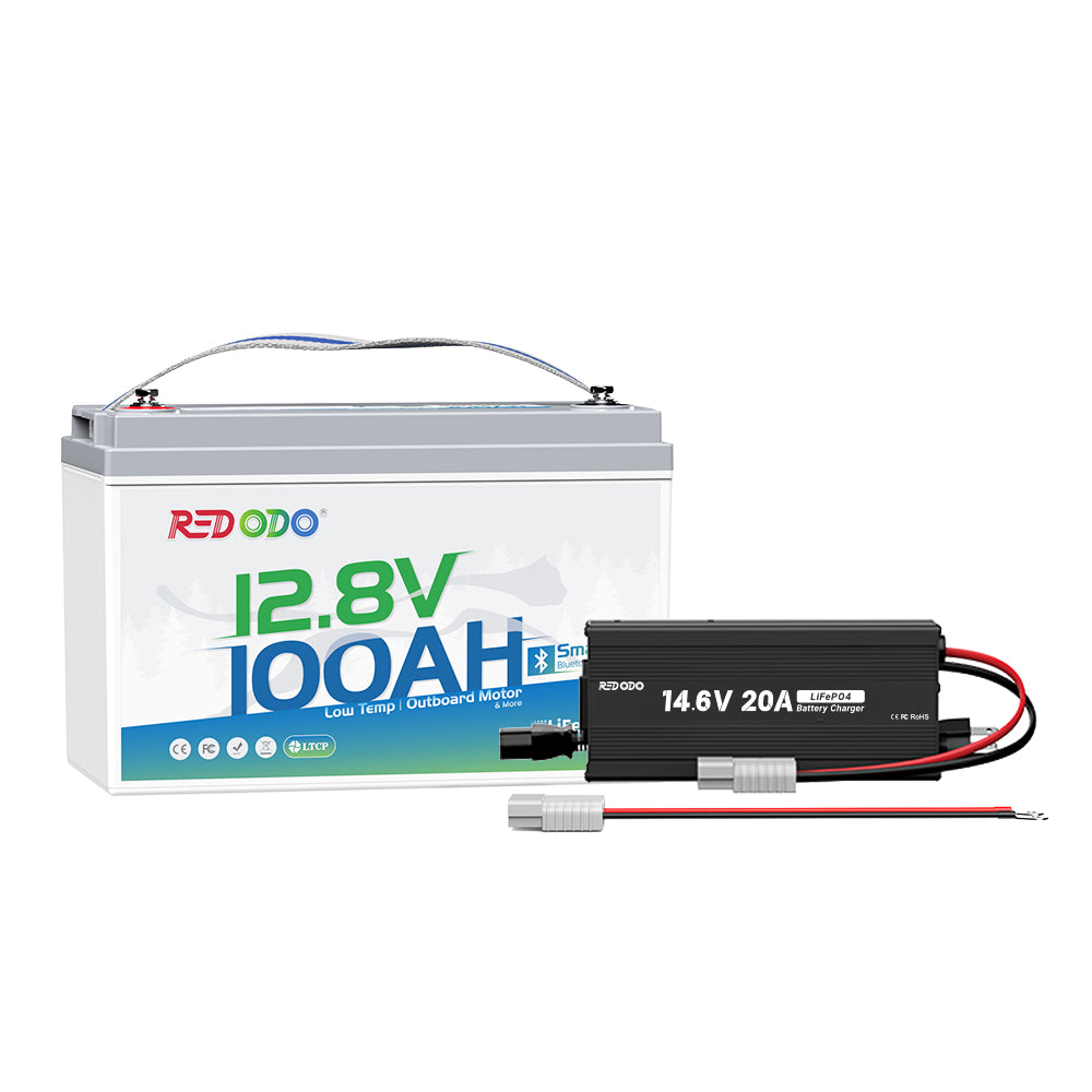 12V100Ah_BT_12V20A.jpg