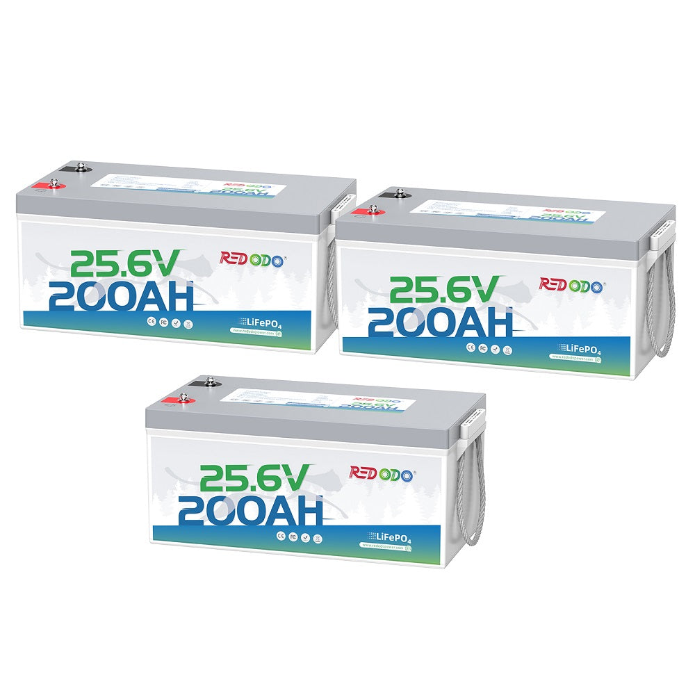 3_d5ae1fbe-dfcb-4c25-b51e-548bb96fb43b.jpg