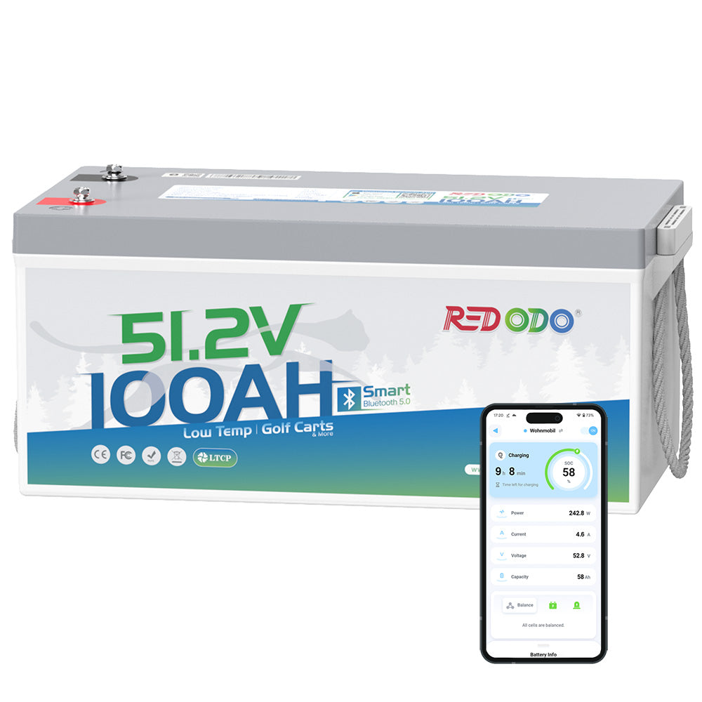 Redodo 48V(51.2V) 100Ah LiFePO4 Lithium Solar Battery